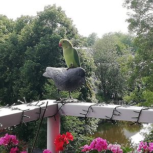 heyoumakemyday avatar