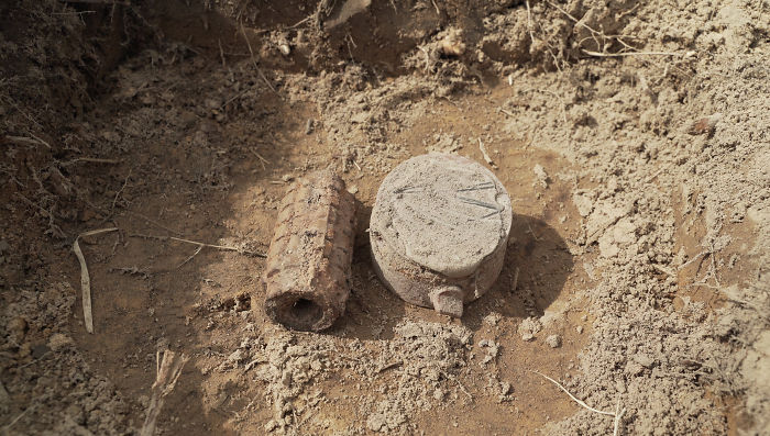 Meet Magawa, The Landmine-Detecting Rat Who Just Received The PDSA Gold Medal For Exceptional Bravery