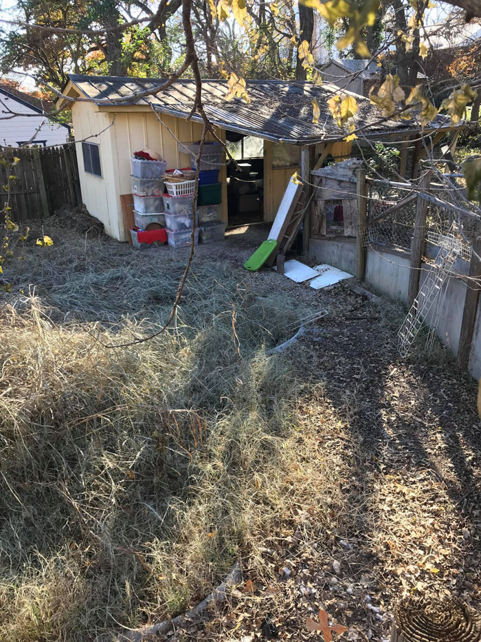 Man Is Left ‘Speechless’ After Finding A '$160k-Worth' Swimming Pool Hidden In The Garden Of The House He Bought For $20k Man Is Left ‘Speechless’ After Finding A '$160k-Worth' Swimming Pool Hidden In The Garden Of The House He Bought For $20k