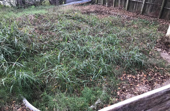 Este hombre se quedó «sin habla» tras encontrar una piscina de 160000$ en el jardín de la casa que compró por 20000$