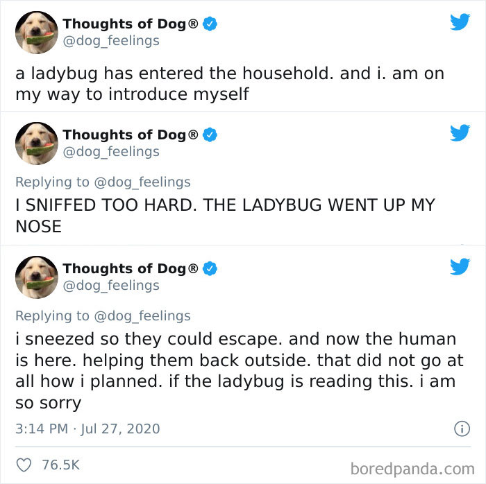 Hilarious-Dog-Thoughts-Tweets