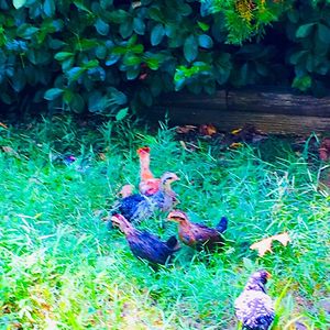 cheyennepatricia27 avatar