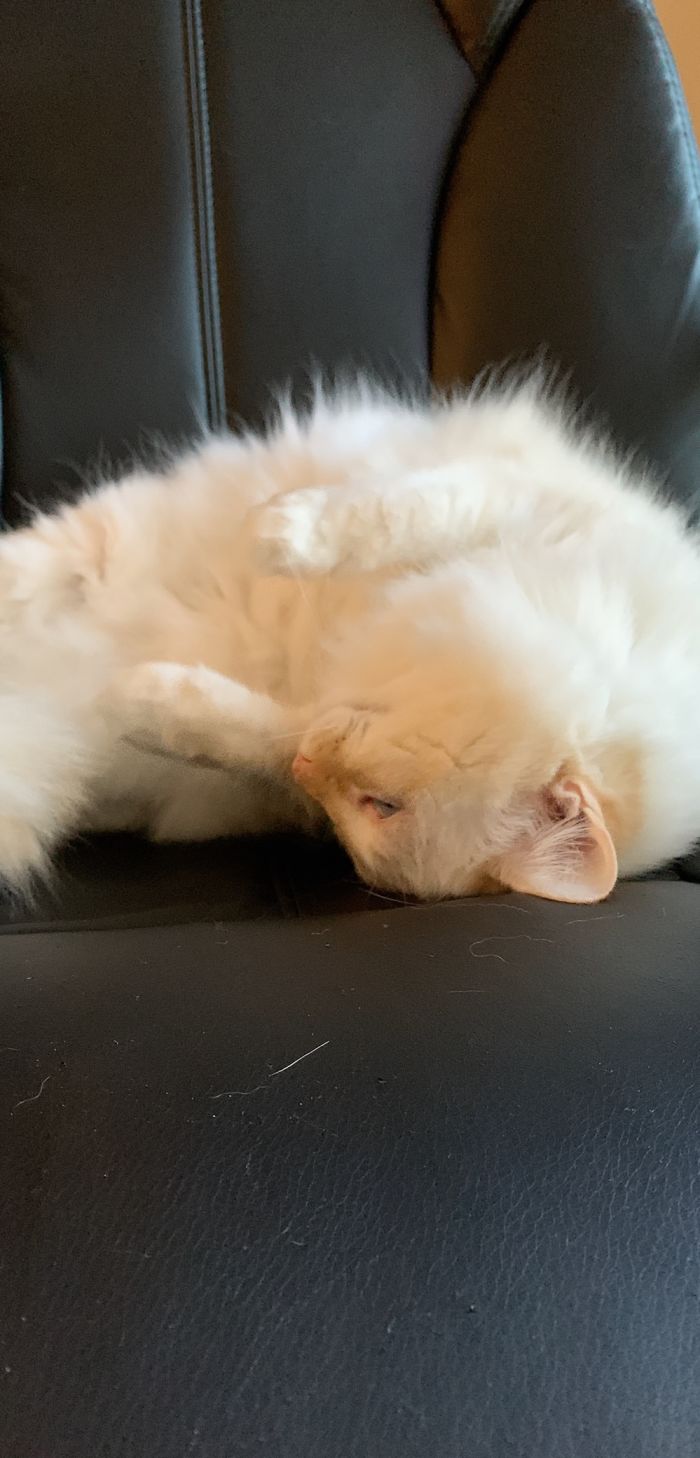 Posing For The Camera