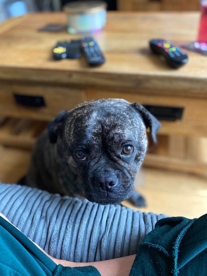 Jeffrey, Who Looks At Me Like This For Most Of The Day