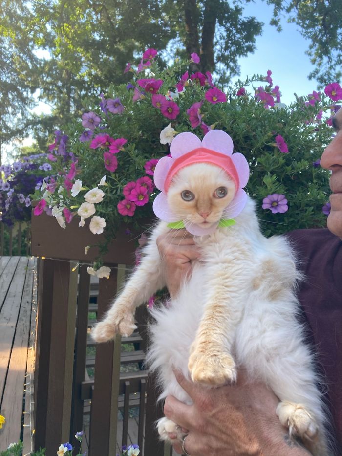 The Prettiest Flower