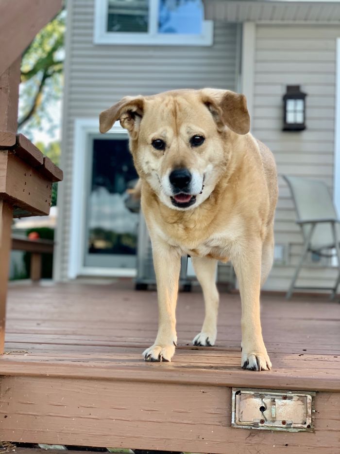 My Sweet Girl Finley