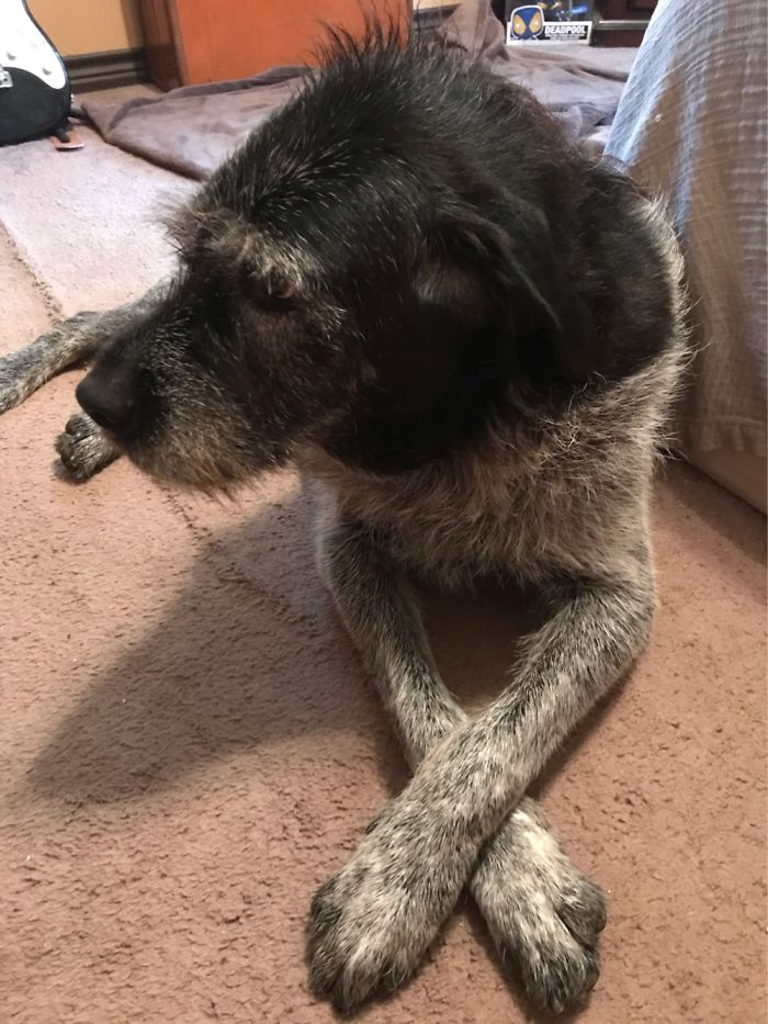 Here’s Conner Trying To Act Like It Wasn’t Him That Ate All The Bacon