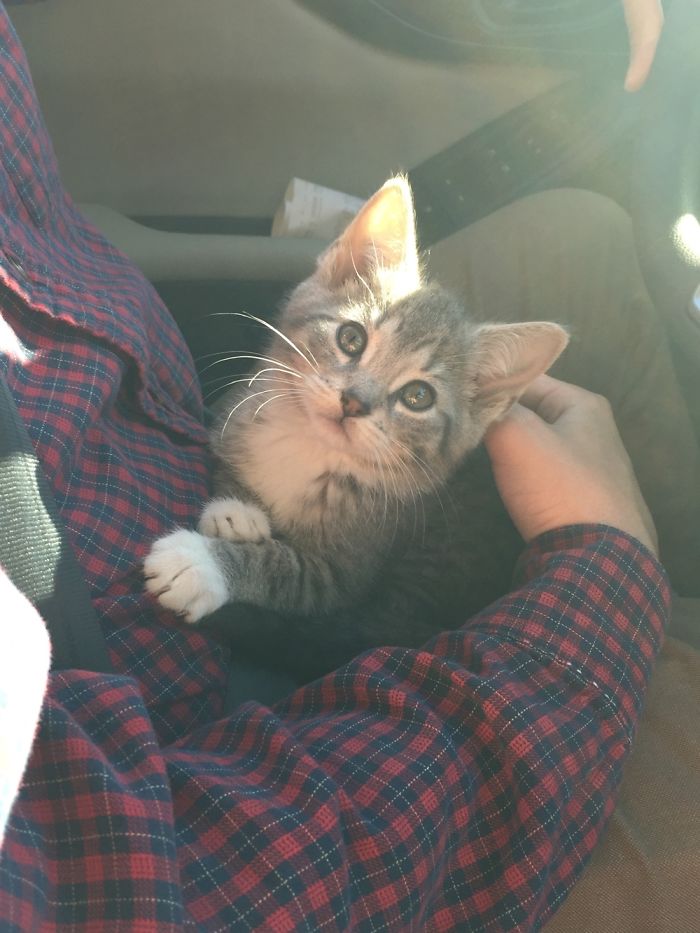 The Day Georgia Adopted Us! Who Could Say No To That Face?