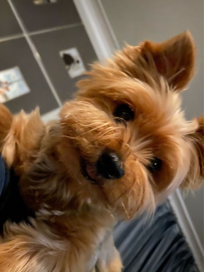 This Is What I See When I Choose To Eat An Apple On My Sofa.