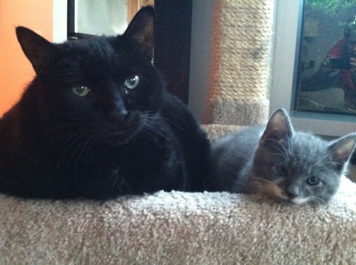 My Big Man Harry And My Little Man Gus.