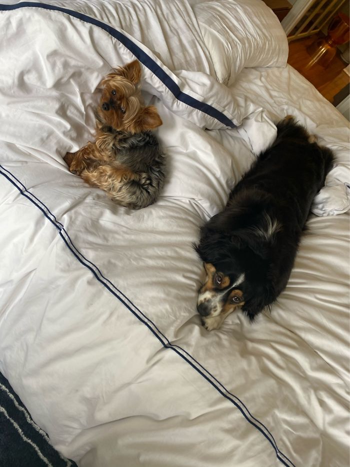 It’s Too Early..... Come Back To Bed Please!