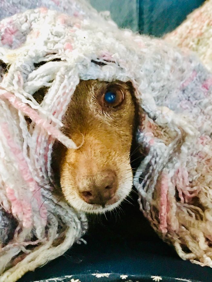 Sweet Happy. Few Weeks Before She Left...