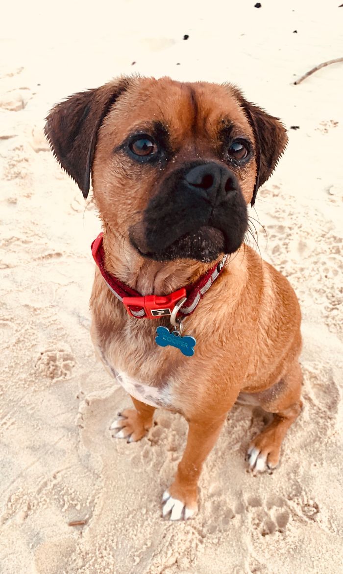 Loves The Sand. Loves The Ocean.
