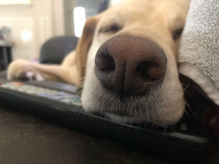 This Is Katy, 7 Years Old