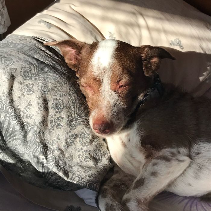 My Beautiful Girl- Lucy❤️ My Heart❤️ Enjoying The Sun ☀️