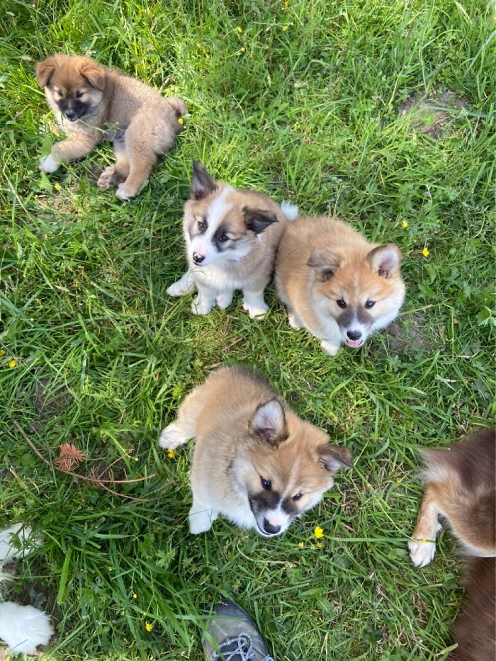 Mine Is The One In The Middle!!