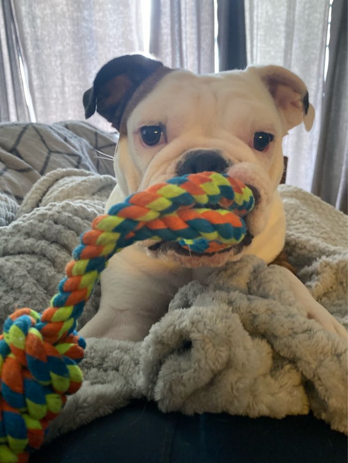 Lucy Danger, Gonna Turn 2 Soon!