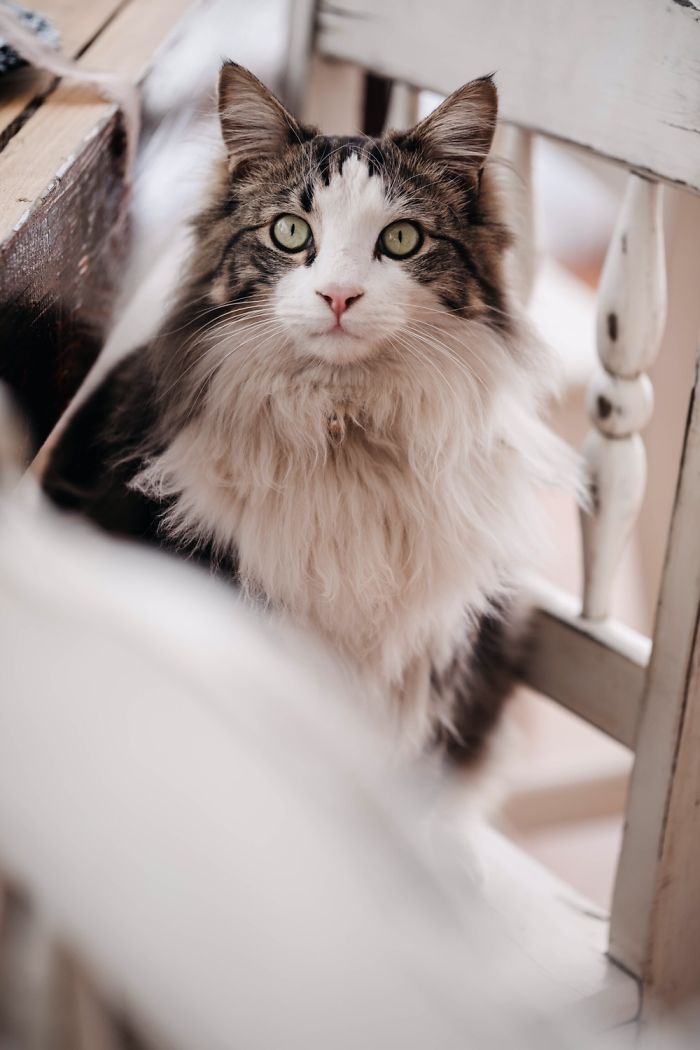 Neville, Taken At Our Wedding (We Eloped At Home). He’s Waiting For The Ceremony