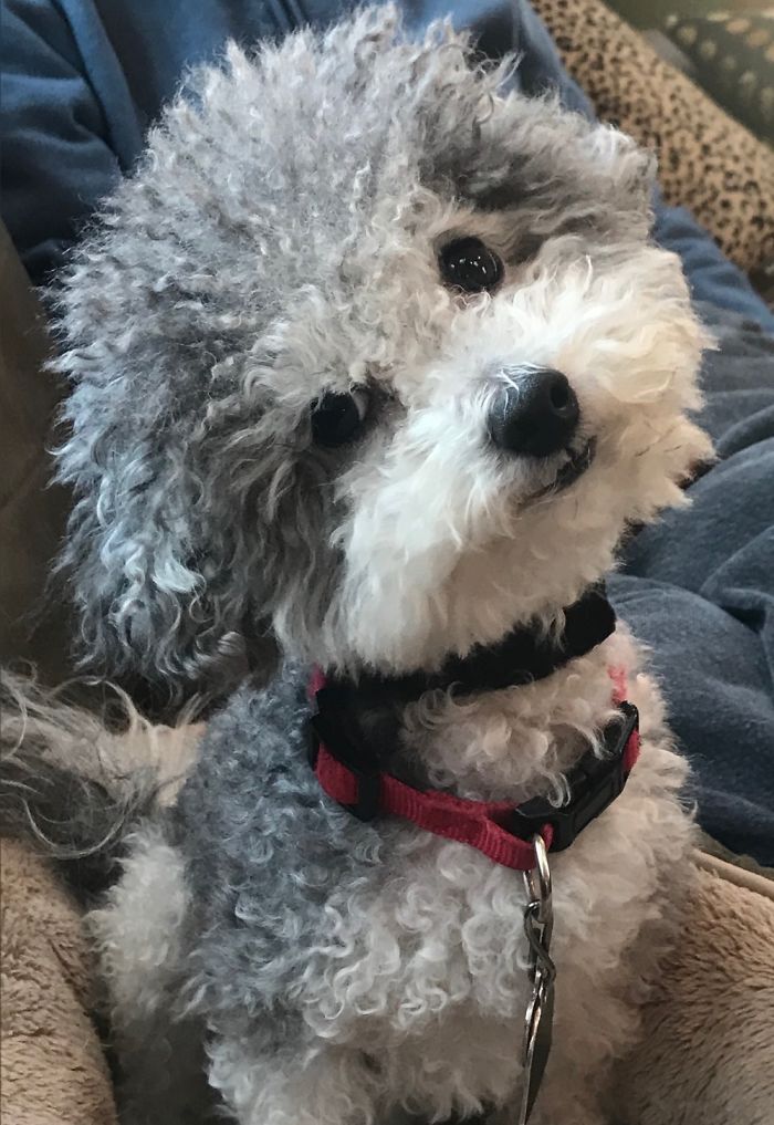 Dominic, 7 Years Old 💜