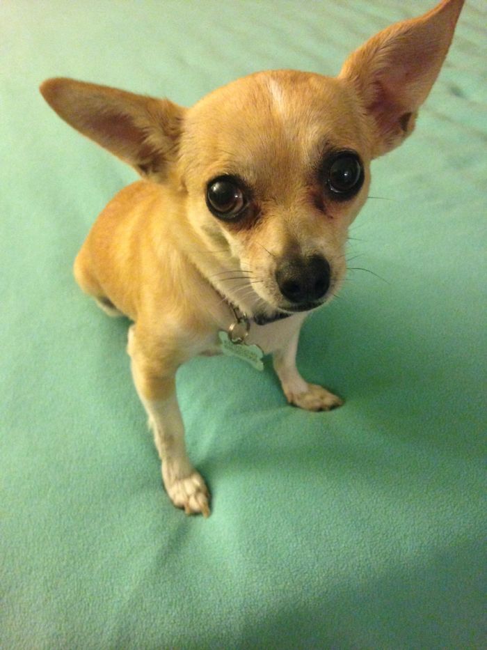 My Sweet Little Piper Girl.