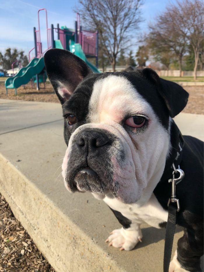 I’m Done With The Park Mom, Take Me Home