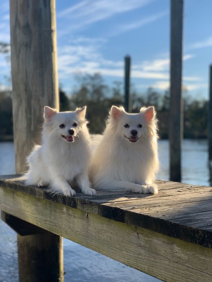 Sister & Brother - Sugar & Cane