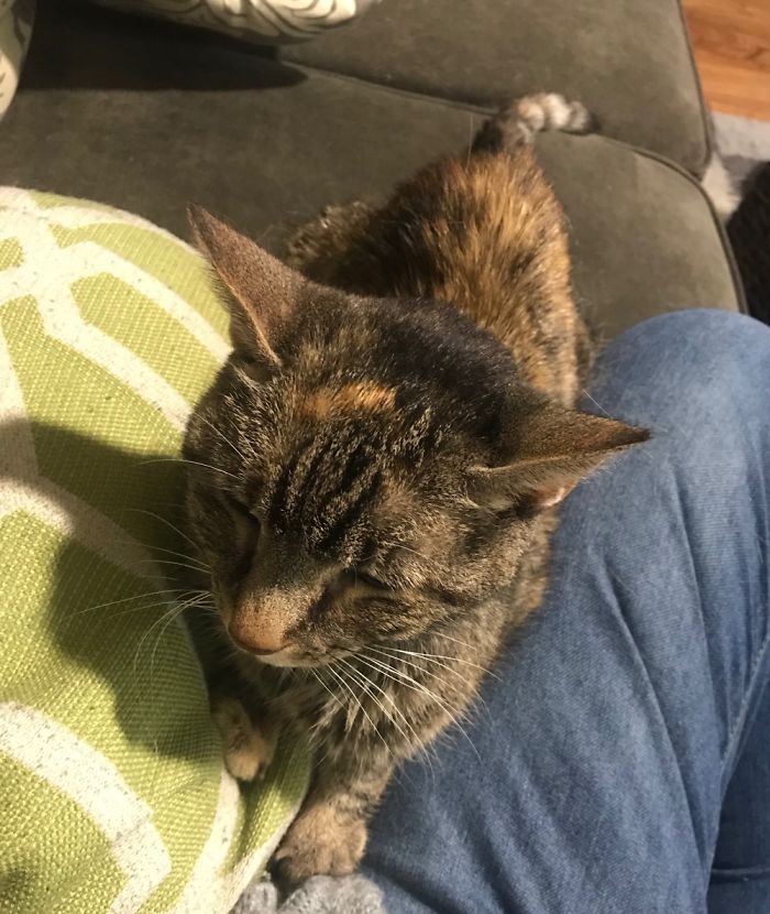 My Little Old Lady Has My Heart As She Sits In Her Favorite Spot.