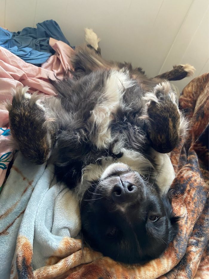 He’s A Good Boy All The Time