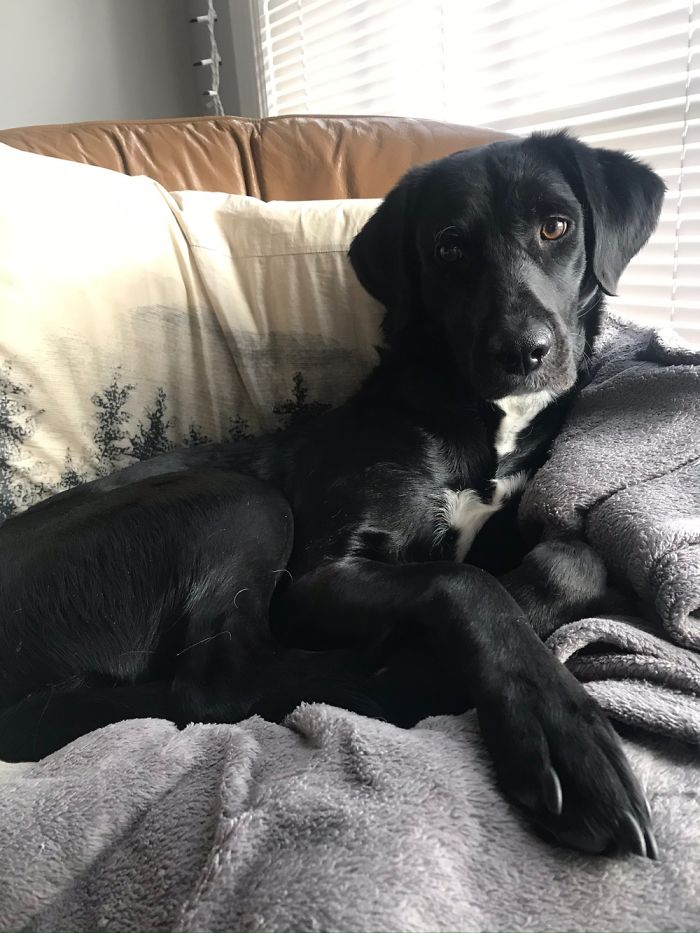 Meet Ophie, My Beautiful Baby Girl.