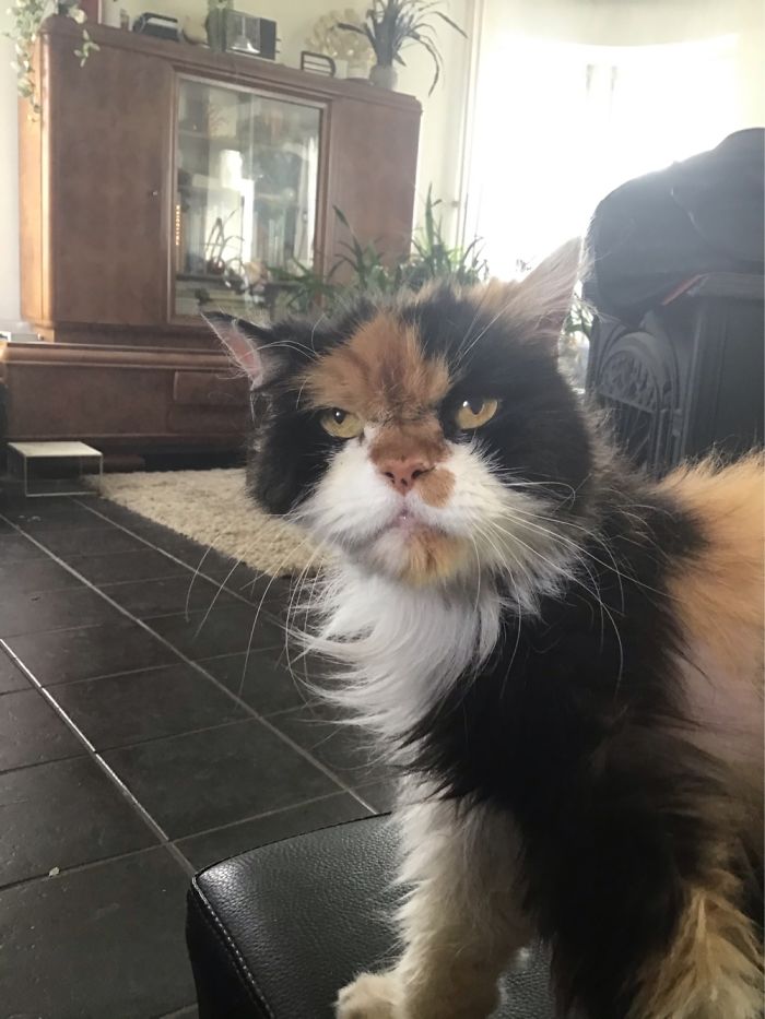 20 Years Of Lovely Angry Judging Look, Here Comes Empress Mimi !