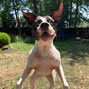 sherri_tiller avatar