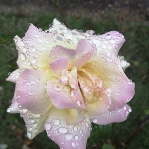 tabitha_hudson2005 avatar