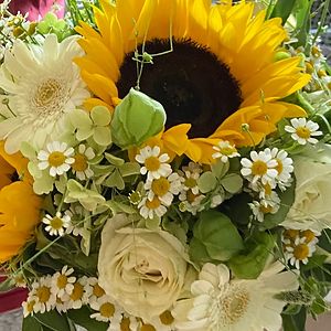 dany_riedmann avatar