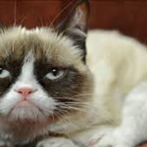 keiganfortriede avatar