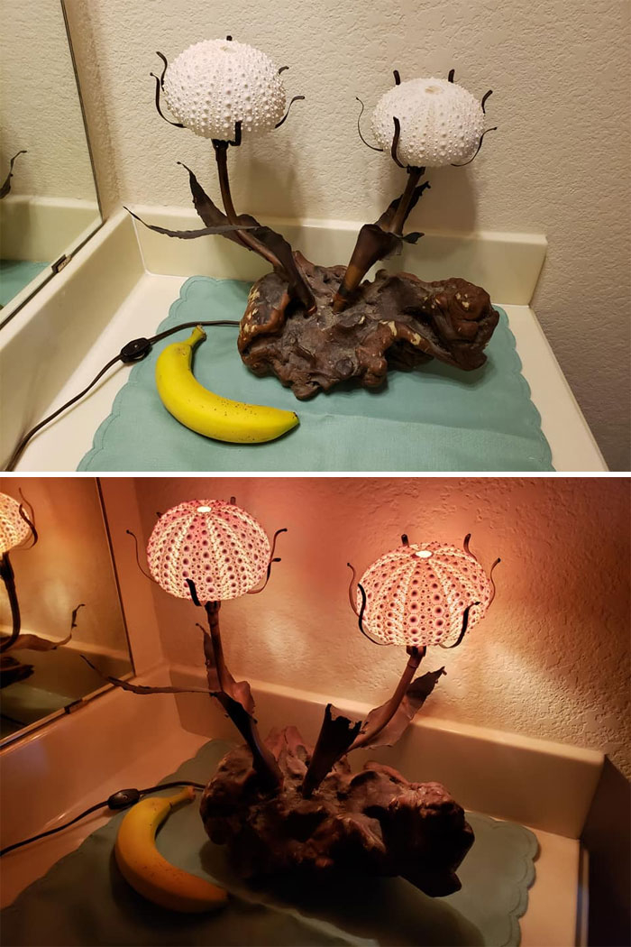 The Base Is Driftwood, The Leaves/Stems Are Patinated Copper, And The "Flowers" Are Real Sea Urchin Shells