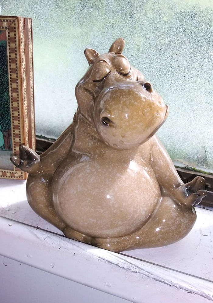 My Husband Loves Thrifting As Much As I Do (Thank God!!) However, He Was Curiously Amused At My Hunts For Uranium Glass And Even More Puzzled At My Obsession To Find A House Hippo