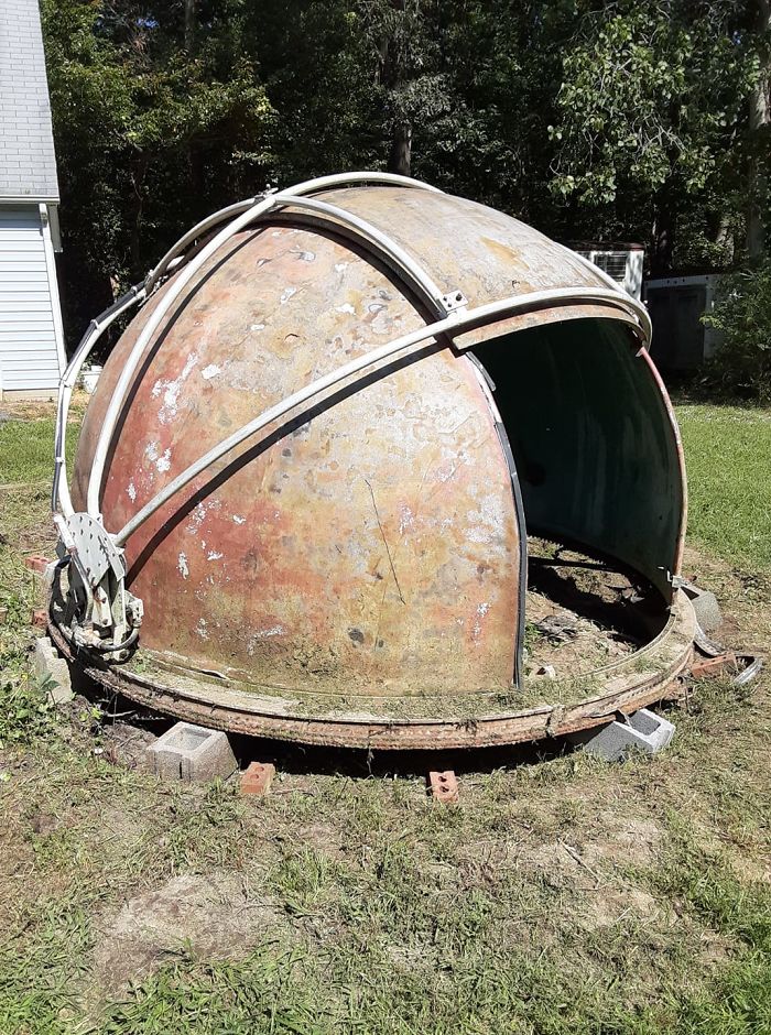 I Am So Excited! Last Spring I Spotted This Beauty While Picking Up Firewood. The Owner Told Me I Could Have Her If I Could Move Her