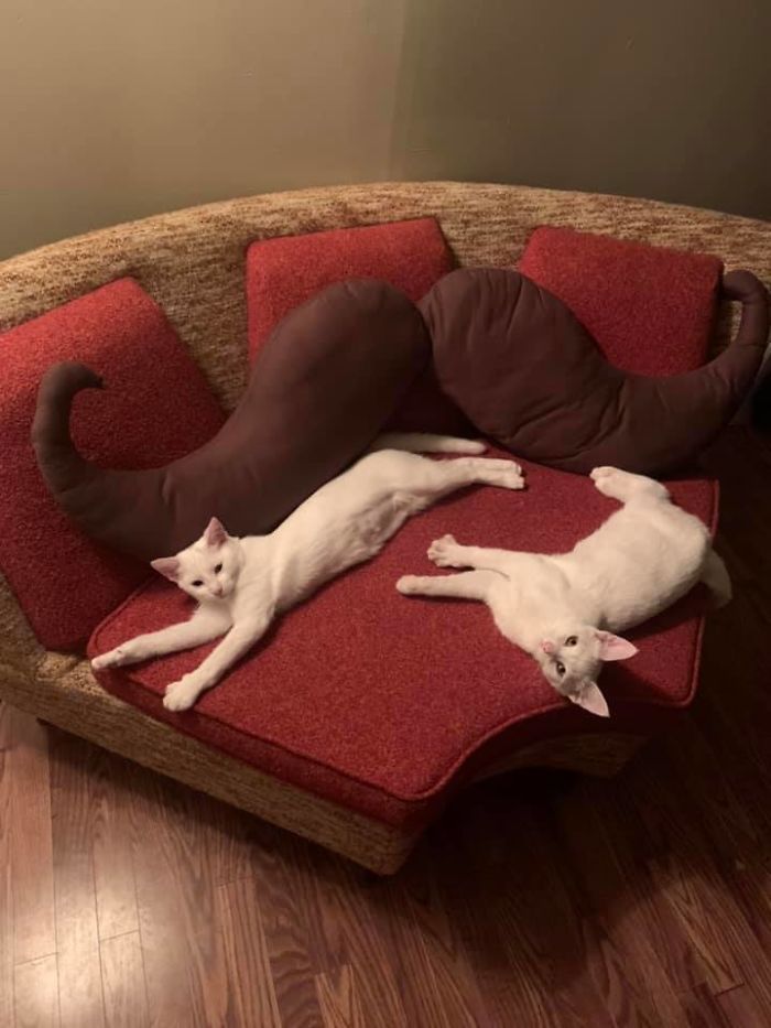 I Found This Treasure For Sale Locally, And It Turned Out To Be Three Blocks Away From Our House! I Had To Have It. Immediately. I Named Him Gary