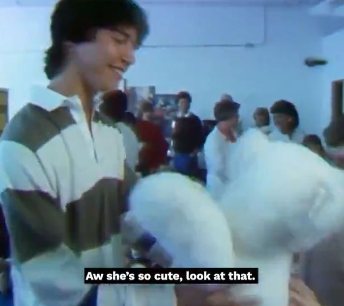 CBC Shares 1984 Video Of Keanu Reeves Reporting On Teddy Bears, The Internet Falls In Love With Him Even More CBC Shares 1984 Video Of Keanu Reeves Reporting On Teddy Bears, The Internet Falls In Love With Him Even More