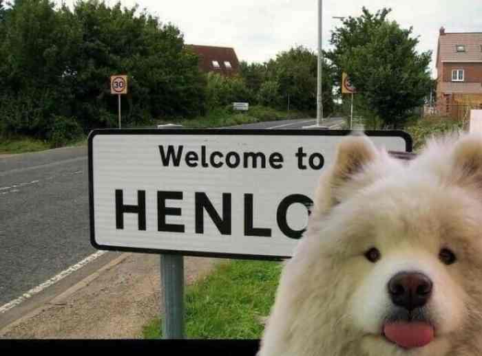 My Friend Sent This To Me