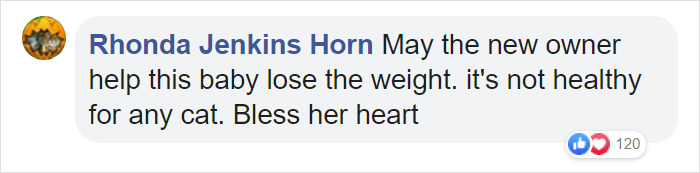 30 Lb Chonk Cat Named Lasagna Gets New Home, New Owners Thrilled With Getting Lasagna And Helping Her Get Healthy 30 Lb Chonk Cat Named Lasagna Gets New Home, New Owners Thrilled With Getting Lasagna And Helping Her Get Healthy