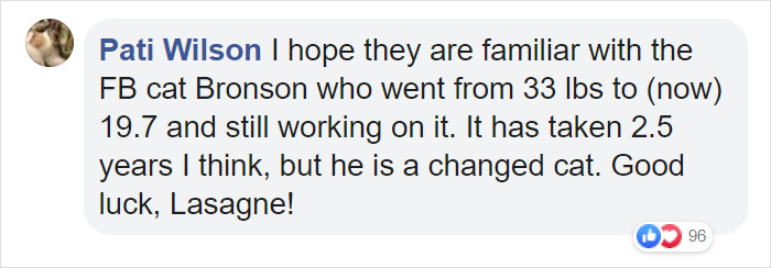 30 Lb Chonk Cat Named Lasagna Gets New Home, New Owners Thrilled With Getting Lasagna And Helping Her Get Healthy 30 Lb Chonk Cat Named Lasagna Gets New Home, New Owners Thrilled With Getting Lasagna And Helping Her Get Healthy