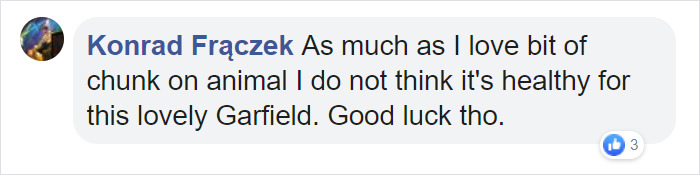 30 Lb Chonk Cat Named Lasagna Gets New Home, New Owners Thrilled With Getting Lasagna And Helping Her Get Healthy 30 Lb Chonk Cat Named Lasagna Gets New Home, New Owners Thrilled With Getting Lasagna And Helping Her Get Healthy