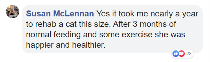 30 Lb Chonk Cat Named Lasagna Gets New Home, New Owners Thrilled With Getting Lasagna And Helping Her Get Healthy 30 Lb Chonk Cat Named Lasagna Gets New Home, New Owners Thrilled With Getting Lasagna And Helping Her Get Healthy