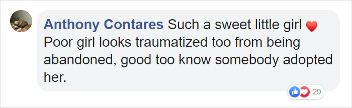 30 Lb Chonk Cat Named Lasagna Gets New Home, New Owners Thrilled With Getting Lasagna And Helping Her Get Healthy 30 Lb Chonk Cat Named Lasagna Gets New Home, New Owners Thrilled With Getting Lasagna And Helping Her Get Healthy