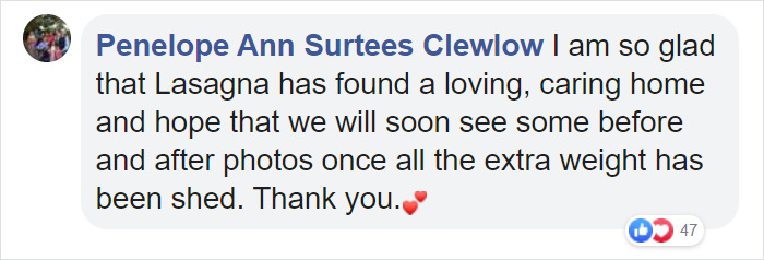 30 Lb Chonk Cat Named Lasagna Gets New Home, New Owners Thrilled With Getting Lasagna And Helping Her Get Healthy 30 Lb Chonk Cat Named Lasagna Gets New Home, New Owners Thrilled With Getting Lasagna And Helping Her Get Healthy