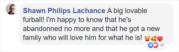 30 Lb Chonk Cat Named Lasagna Gets New Home, New Owners Thrilled With Getting Lasagna And Helping Her Get Healthy 30 Lb Chonk Cat Named Lasagna Gets New Home, New Owners Thrilled With Getting Lasagna And Helping Her Get Healthy