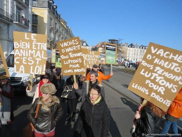 manif-vaches-5f5281ba70a32.jpg