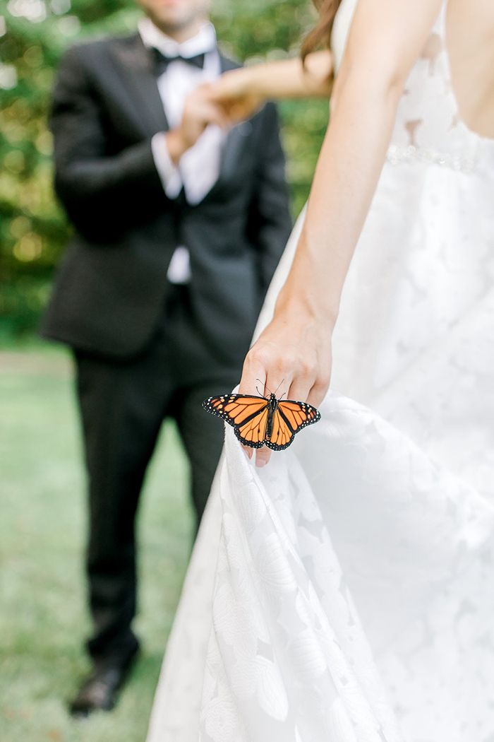 Couple's Wedding Photoshoot Gets A Fairytale-Like Twist After A Monarch Butterfly Joins In