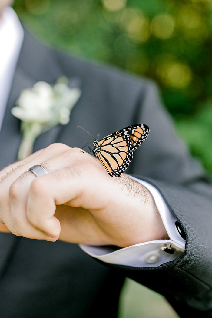 Couple's Wedding Photoshoot Gets A Fairytale-Like Twist After A Monarch Butterfly Joins In